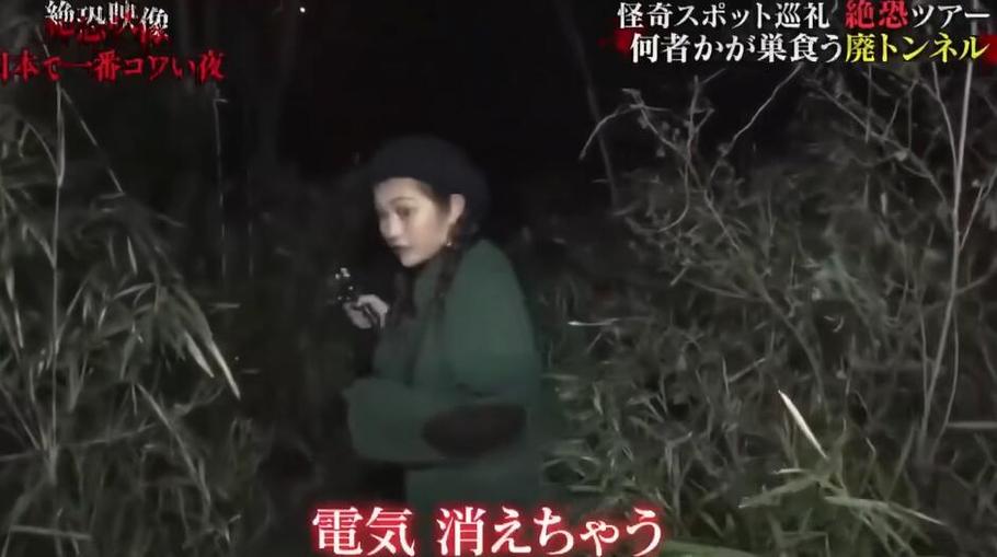 解密日本恐怖文化！《世界恐怖之夜》百度百科详尽解析