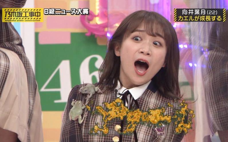 多里子真的太可爱了，《乃木坂工事中》ep22让你一起沉浸在青春的夏季气息中