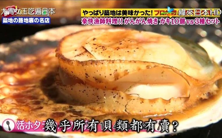 日本全员恶人格斗综艺节目模式解析，看完这篇你就是“最强恶人”了