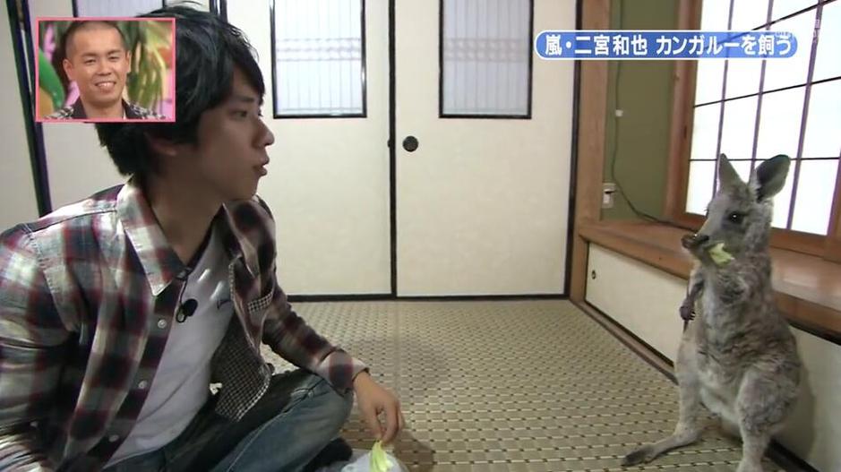 接受挑战，白井一家与《志村动物园》的挑战令