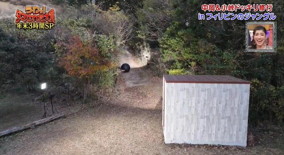 日本综艺《整人大赏》2020完整版精选介绍