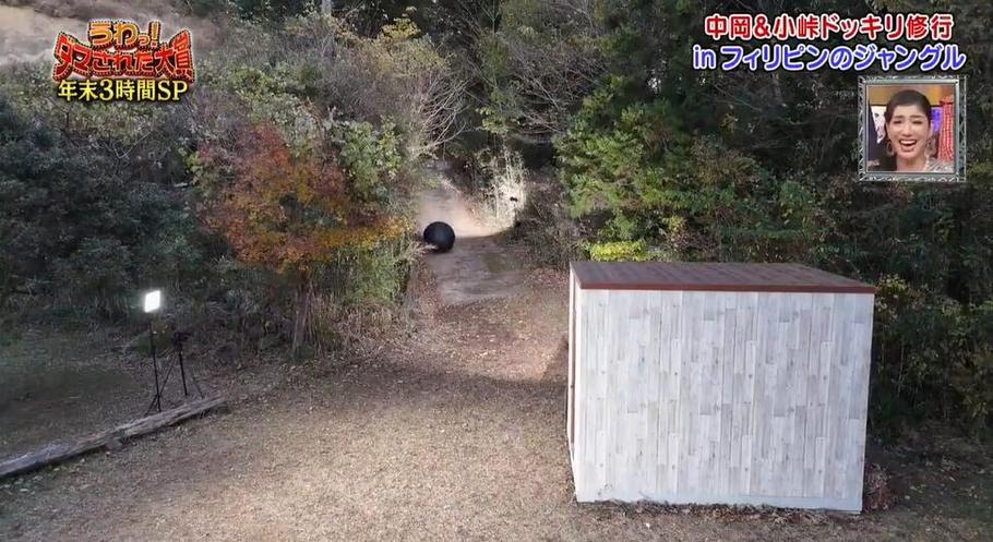 爆笑必看！《整人大赏》2022冬季下载，全员整人大集合