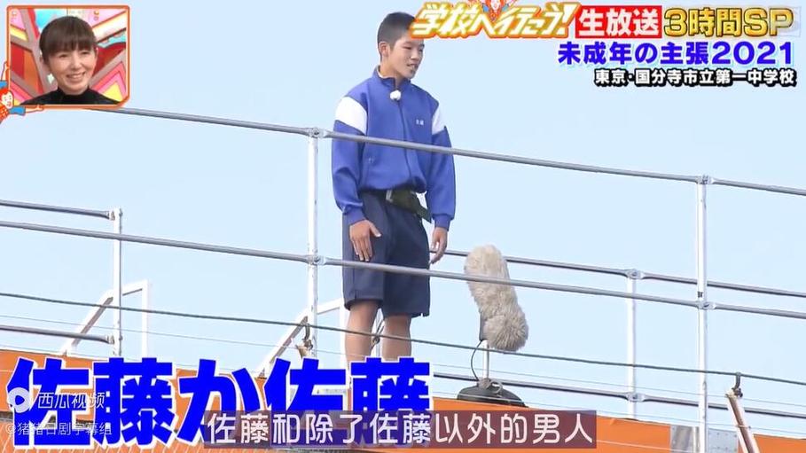 24小时日本综艺在线，最新综艺无限看